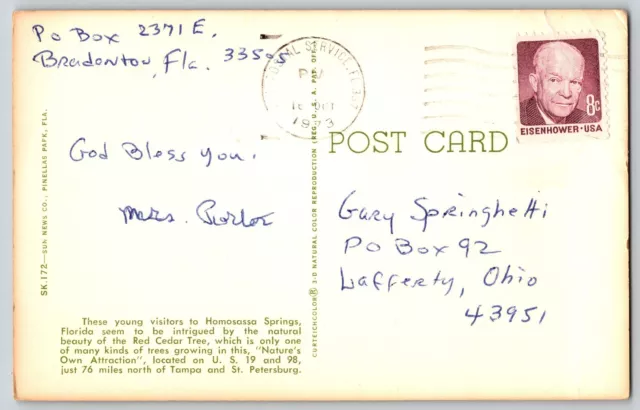 Homosassa Springs, FL  - Young Visitors - Natures Attraction - Vintage Postcard 2