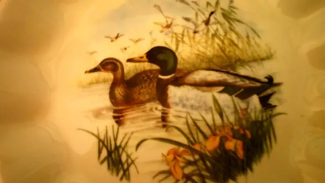 Prinknash Pottery Pin Dish, Wildfowl Series, John Gould, Mallard Ducks 2