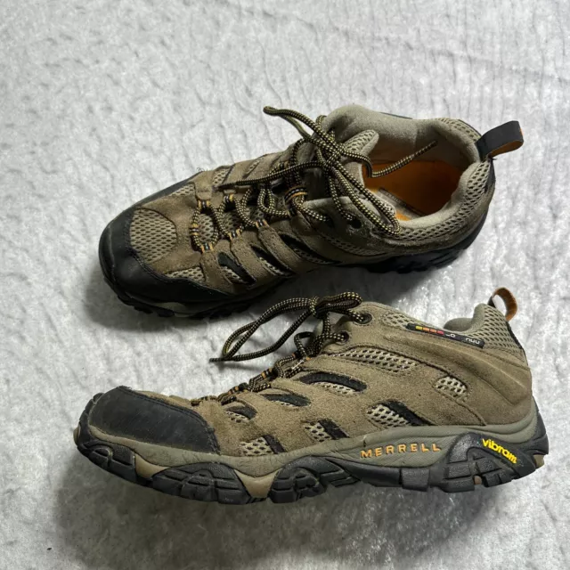 Merrell moab online 2 walnut