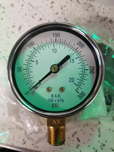 PIC GAUGES SEP-101D-254H-BSPT Pressure Gauge,Nominal 2-1/2" Dial