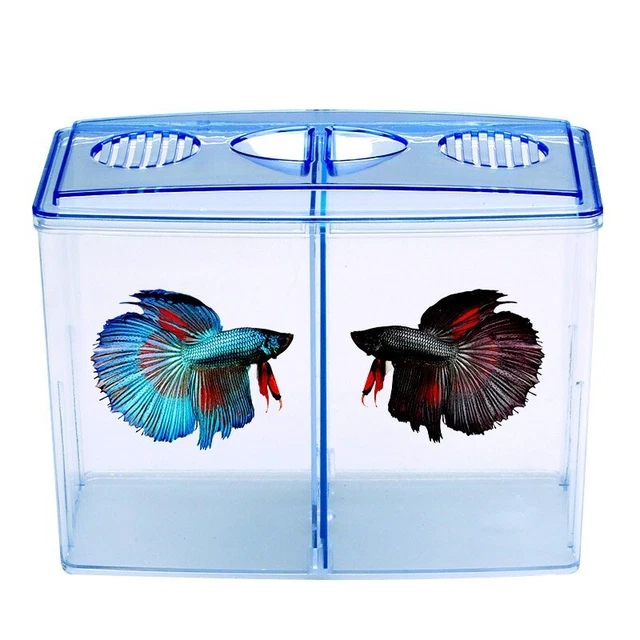 Betta Fish Tank - Small Aquarium with Divider - 2/5 Gallon Acrylic Fish Jar 5