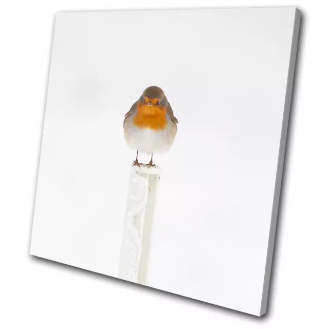 Animals Robin Red Breast SINGLE CANVAS WALL ART Picture Print VA