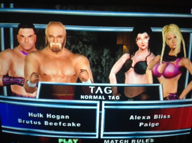 WWE SMACKDOWN HERE Comes the Pain Sony PlayStation CHEAT