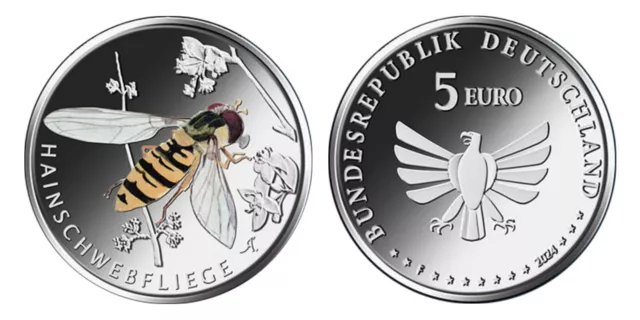 5 Euro Münze 2024 - Hainschwebfliege - Serie Wunderwelt Insekten - VORVERKAUF