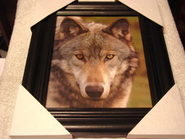Wolf 11X13 Mdf Framed Picture ( Black Color Frame )