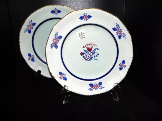 Set of 2 Hand Painted Dinner Plates Georgian by ADAMS CHINA