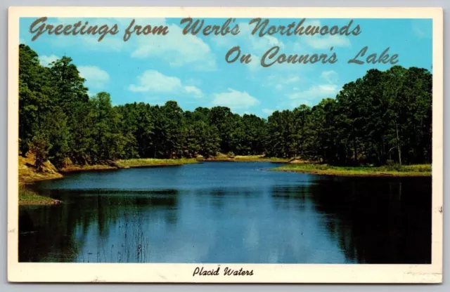 Greetings Werbs Northwoods Connors Lake Placid Waters Postcard