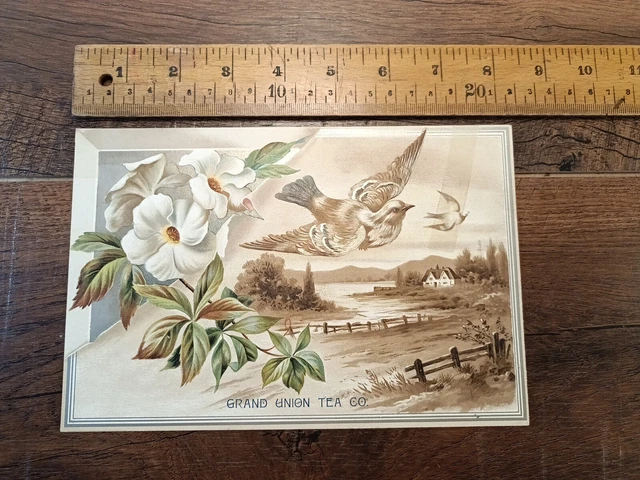 1880s Large trade card. The Grand Union Tea Co. N.Y. Beautiful Birds, (M7)