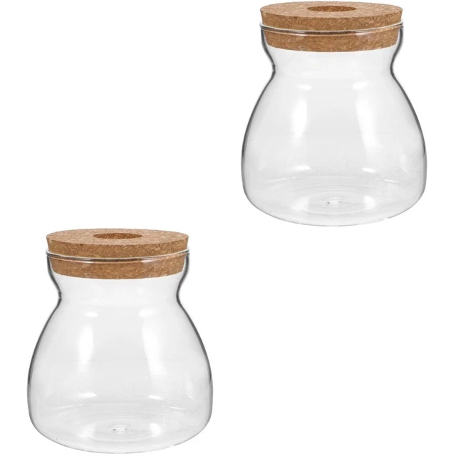 glass floral vase Set 2 Piccolo Terrario Decorazione Miniatura Piante D'appartam