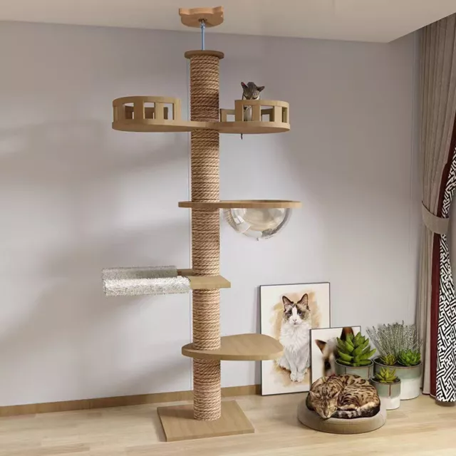 Arbre pour Chat à Gratter RAIKOU D'Escalade 250cm XXL Grande + Katzenhöh