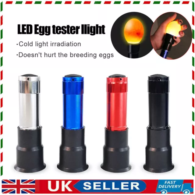 UK Hand Held LED Egg Candling Light Egg Candler Lamp Tester Led Flashlight Tool