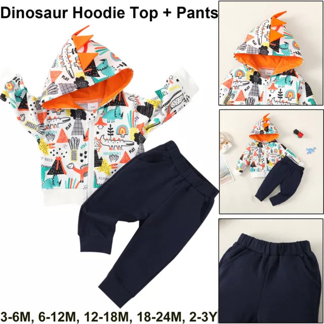 Toddler Newborn Baby Boys Clothes Tracksuit Dinosaur Hoodie Tops + Pants Outfits