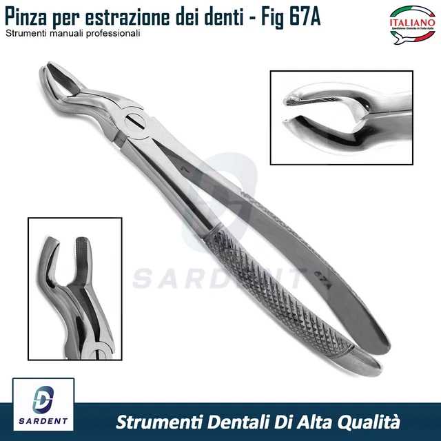 CT PINZA ESTRAZIONE 67A 9003481 - Dental Trey
