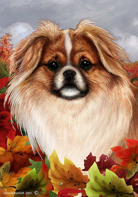 Fall Garden Flag (TB) - Red and White Sable Tibetan Spaniel 134761