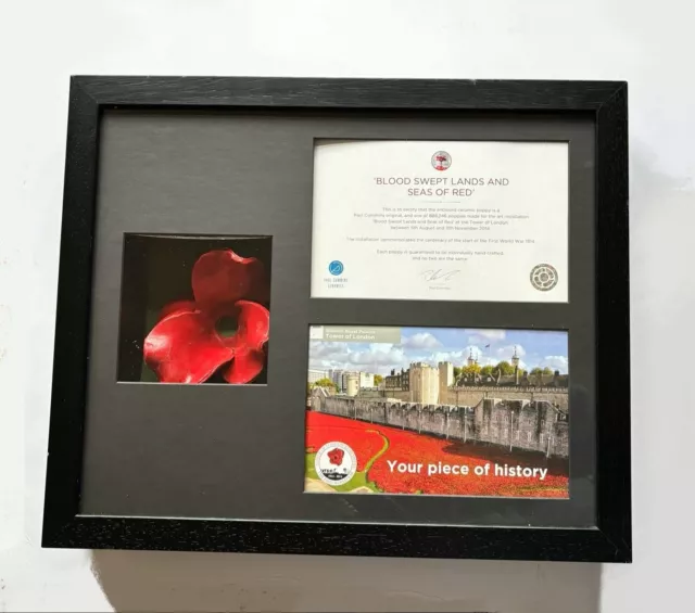 Ceramic Poppy Tower Of London 2014 Paul Cummins Framed With Certificates