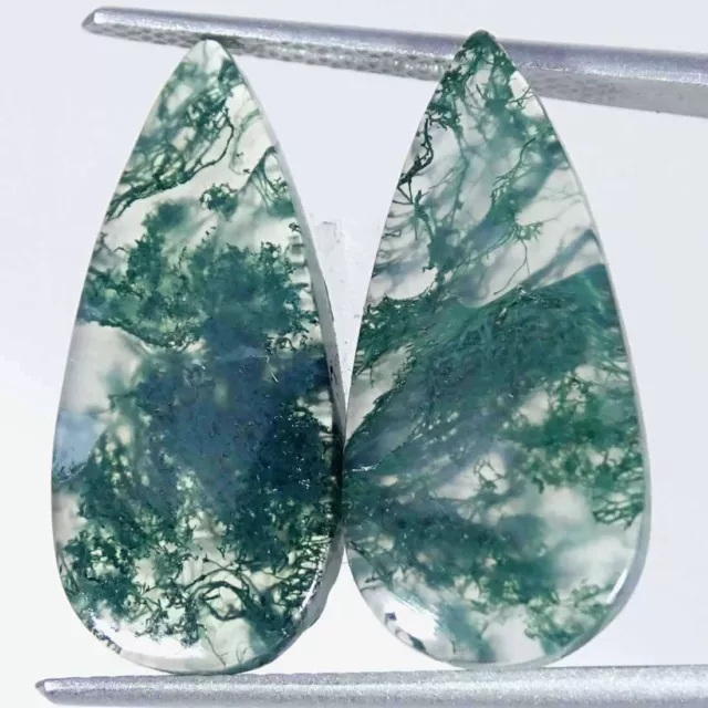 12.70Cts Natural Green Moss Agate Pear Pair Cabochon Loose Gemstone