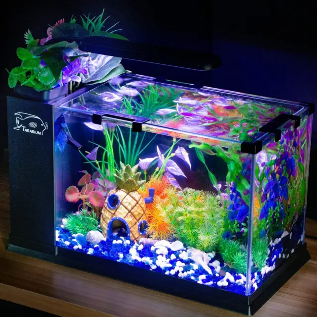 5 Gallon Fish Tank Glass Small Aquarium Starter Kits Self Cleaning with LED Ligh
