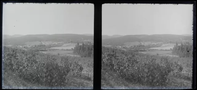 FRANCE Paysage c1930 Photo NEGATIVE Plaque verre Vintage V24L10n