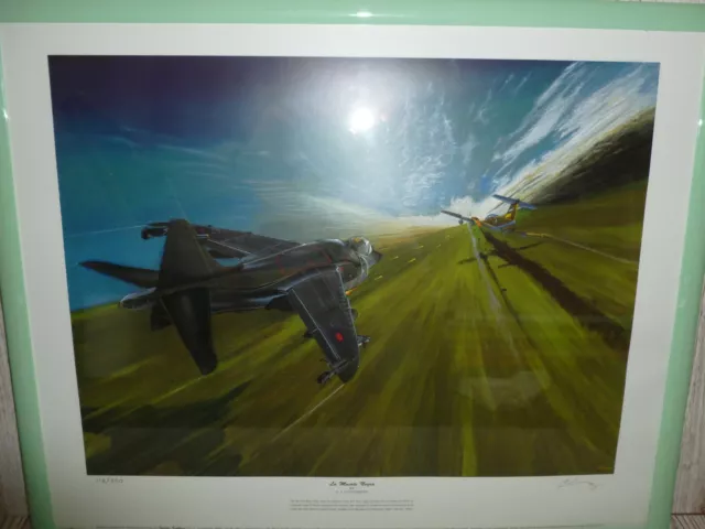 Framed Aviation Print C.a Launchbury La Muerte Negra Sea Harrier