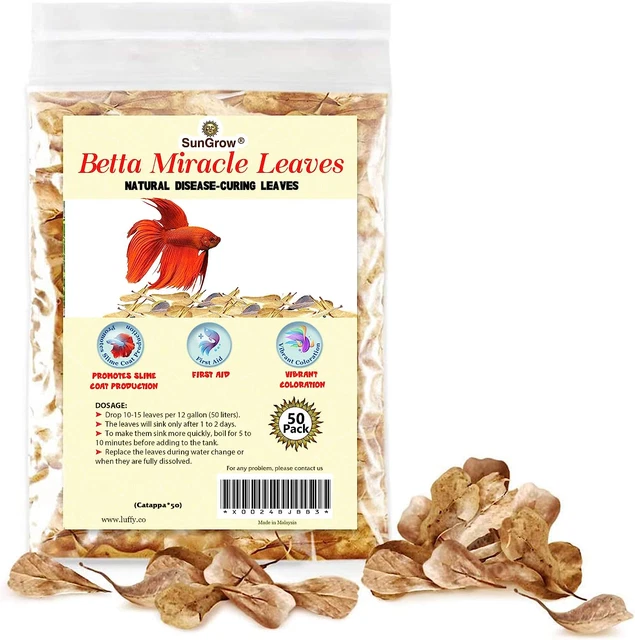 Sungrow 50 Pcs Catappa Indian Almond Leaves for Betta Fish Tank Aquarium, 2” Wat