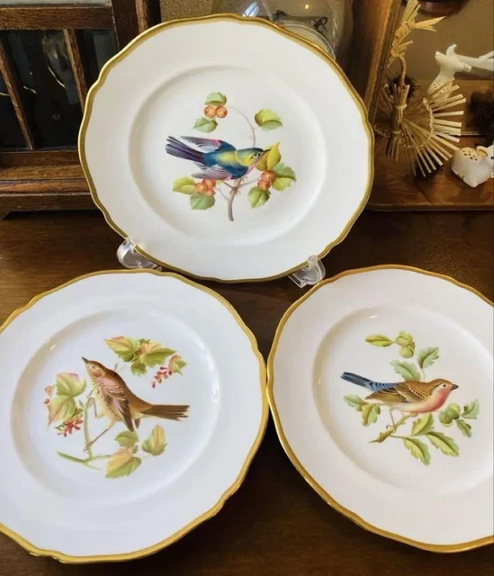 スポード 鳥 皿3枚セット Spode オーデュボン SPODE BIRD PLATE Set Of 3 Audubon $240.77 - PicClick CA