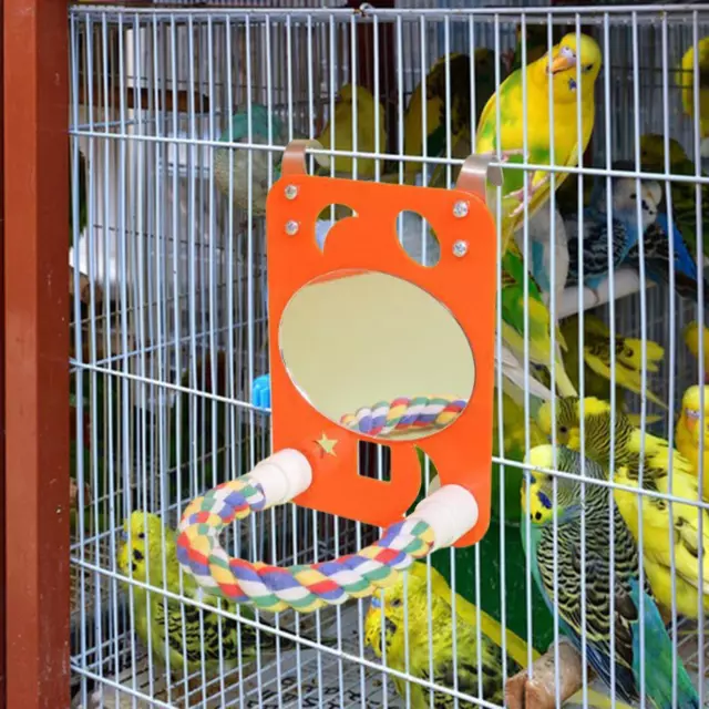 Miroir à oiseaux avec perchoir d'entraînement, Cage à perroquets, jouet pour
