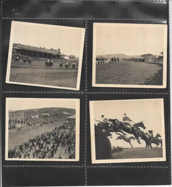 Sandorides / Lucana - Famous Racecourses - Large - No. 41   Brighton