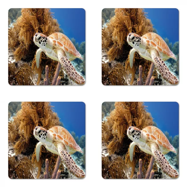 Ambesonne Turtle Pattern Coaster Set of 4 Square Hardboard Gloss Coasters
