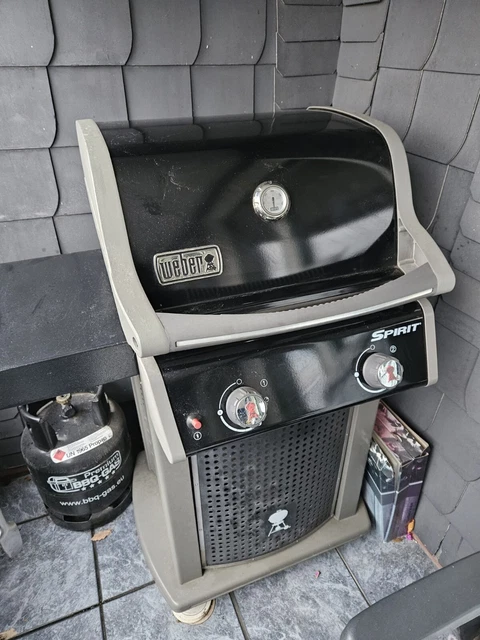 Weber Gas-Grill 2 flammig, Grill, Gasgrill