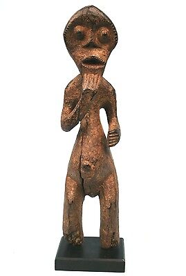 Art African Arts First Tribal - Antique Fetish Mambila Soclé - 36,5 CMS