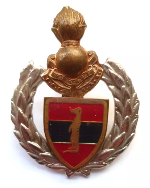 South Africa Army Engineers 6 field regiment Badge Insignia EB505