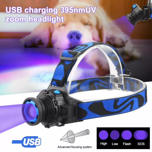 Rechargeable 395nm UV LED Headlamp Zoomable Blacklight Flashlight Head Torch