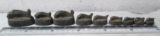 Superb Old Bronze Opium Weight Set 9 Koi Carp Fish