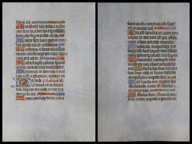 Illuminierte Grafia Su Pergamena Foglia Di Uno Miniatura Um 1500 (050)