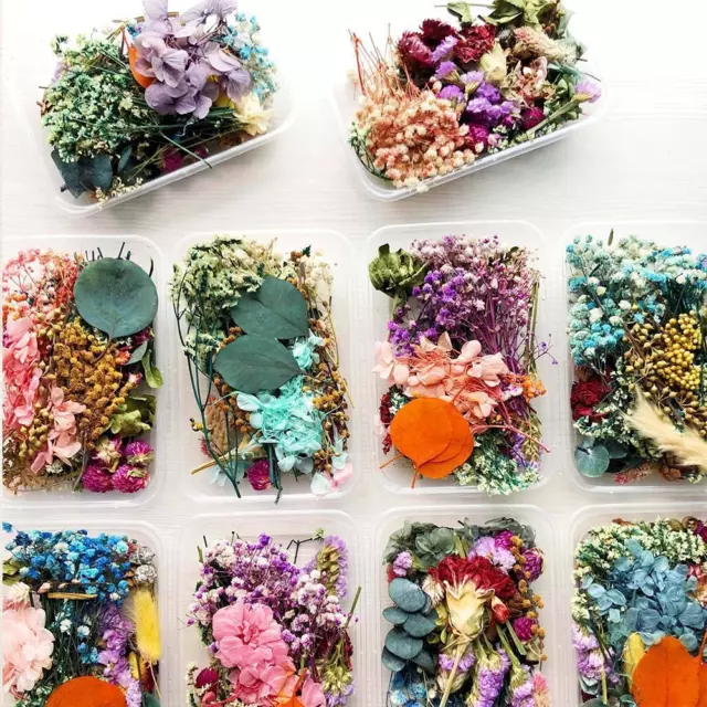 Hot 1Box Dried Flowers For DIY Art Craft Epoxy Resin Jewellery Making BEST O3W0