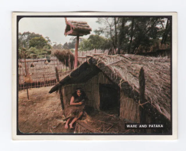 Sanitarium NZ. The Maori Way of Life. #15 Whare and Pataka