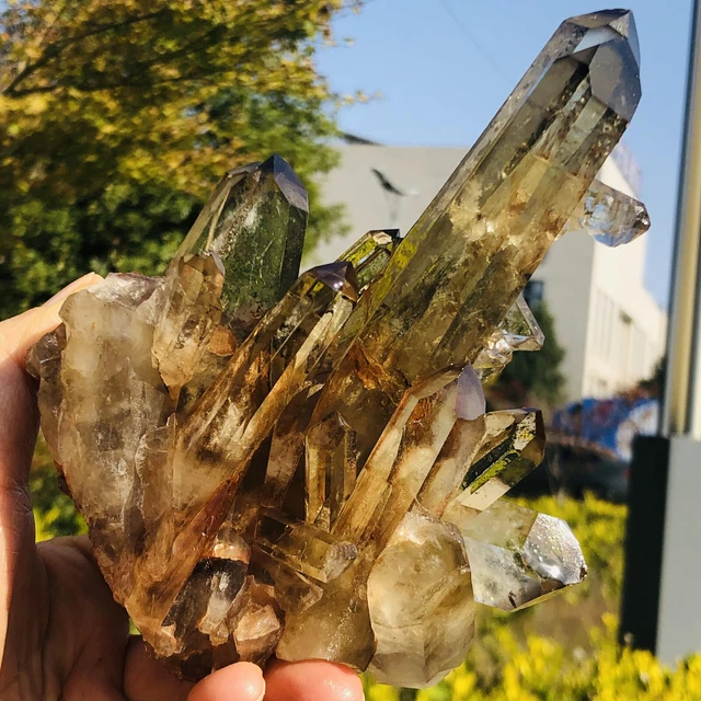 1.42LB  Natural Citrine cluster mineral specimen quartz crystal healing