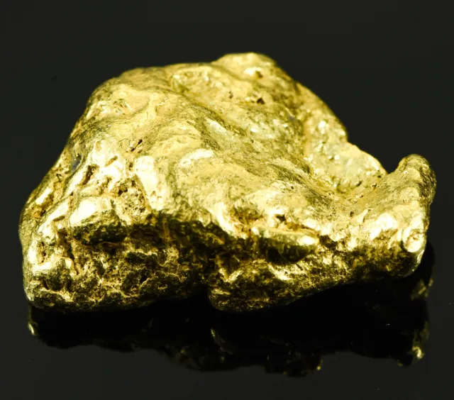 #557 Large Alaskan BC Gold Nugget 44.73 Grams Genuine