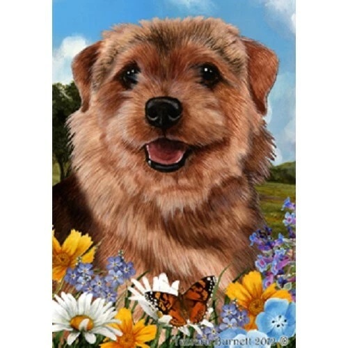 Summer House Flag - Norfolk Terrier 18225