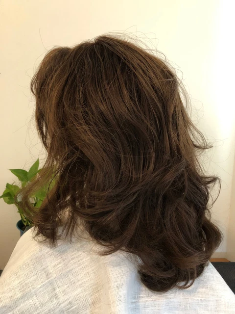 Premium 100% Virgin Human Hair Wig 12-inch Sheitel Body_Wave Skin Top Brwn#4 Premium 100% Virgin Human Hair Wig 12-inch Sheitel Body_Wave Skin Top Brwn#4