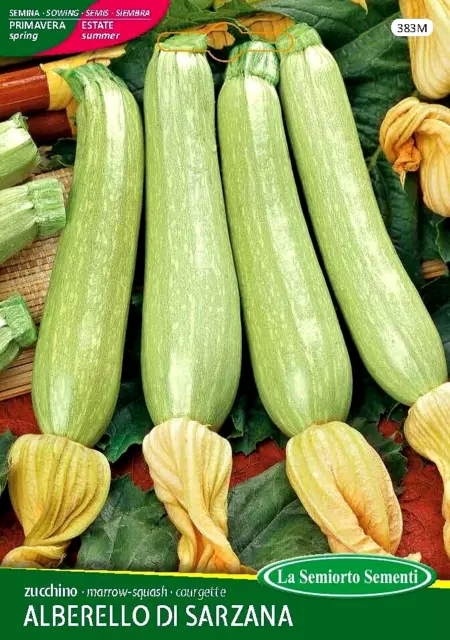 Semi Zucchino Alberello Di Sarzana Sementi 100% Italiane Orto Professional Seeds