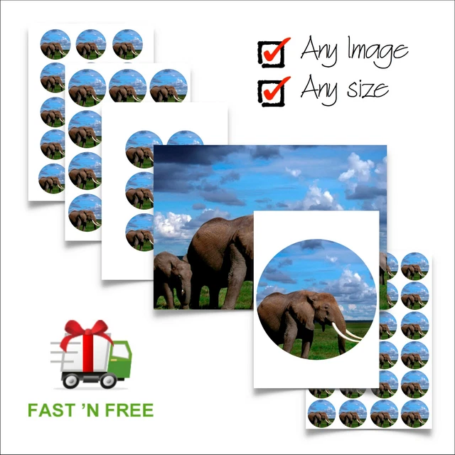 Create Your Own Edible Cake Topper - Round – Whimsy's