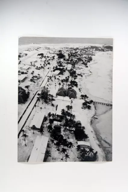 Photo de presse vintage Atoll De Mururoa, Palmiers Et Case Des Cargo, 1966, 2