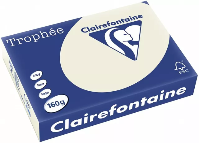 Clairefontaine Trophee farbiges Papier 1041C Grau 250 Blatt 160g A4 Kopierpapier