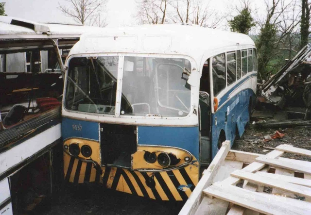 BUS PHOTOGRAPH ULSTERBUS Fleet number 9537 £1.16 - PicClick UK
