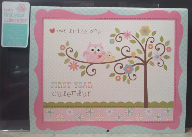 C. R. Gibson Our Little One First Year Baby Calendar & Stickers ( BA3-9022U )