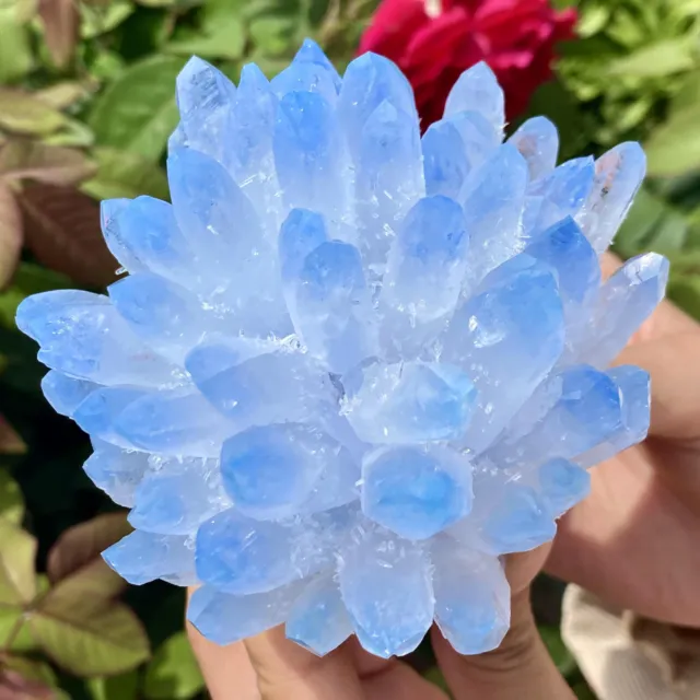 1.23LB New Find sky blue Phantom Quartz Crystal Cluster Mineral Specimen Healing