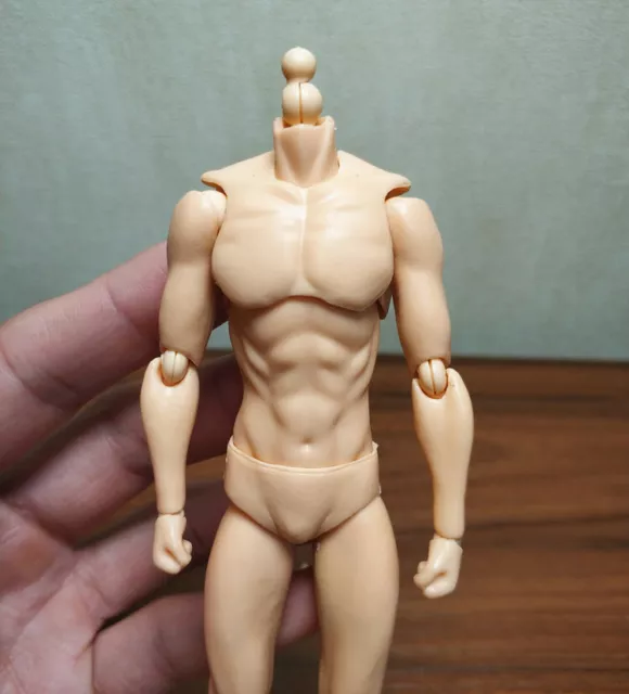 Figma She/he S.H.Figuarts SHF Body kun DX SET PVC Body-Chan DX Action  Figure Toy