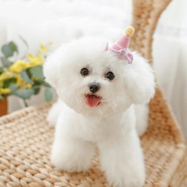 Accesorios para el pelo de gato hechos a mano horquilla para perro mascotas clips para el pelo garras para mascotas