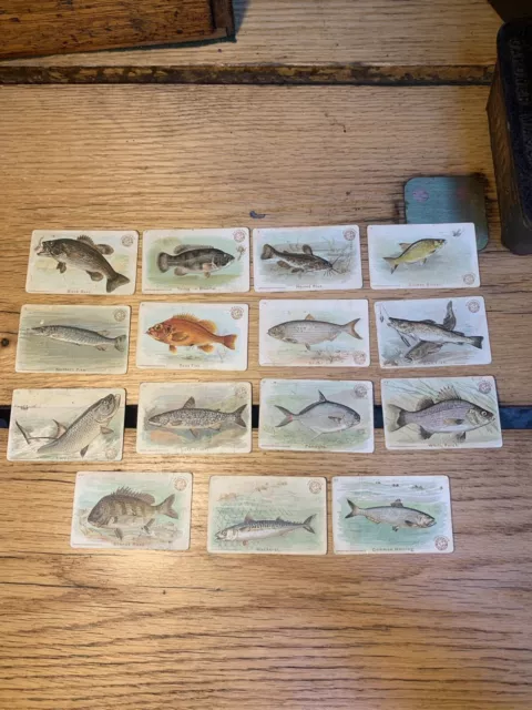 Rare Lot Of Fish Series - 15 Card Partial Set- Arm & Hammer - Church & Co. 1900s